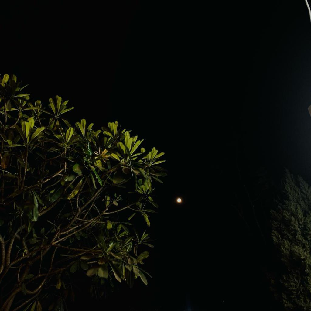 The Roxxy Royal Resort Rishikesh Luaran gambar