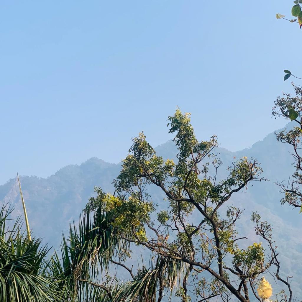The Roxxy Royal Resort Rishikesh Luaran gambar