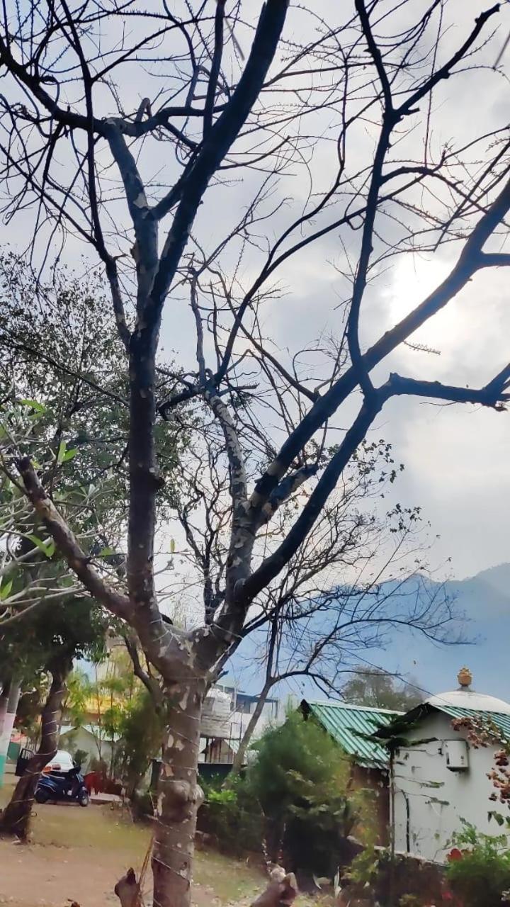 The Roxxy Royal Resort Rishikesh Luaran gambar